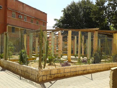 Photos of Kasbah Garden