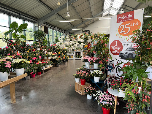 Photo de Jardinerie Baobab à Saint-Pierre-du-Mont (40280)