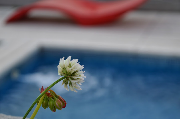 Pleno Palermo Soho by null