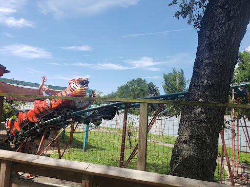 Tasmanian TigerCoaster Gallery - United States