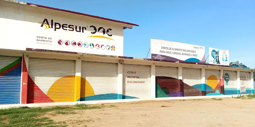 Alpesur Puerto Escondido