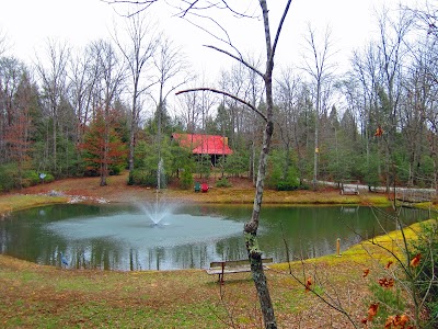 Piney Creek Cabins