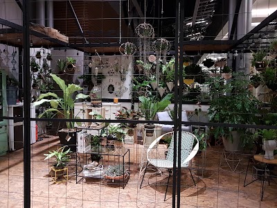 Photos of FITOFILIA