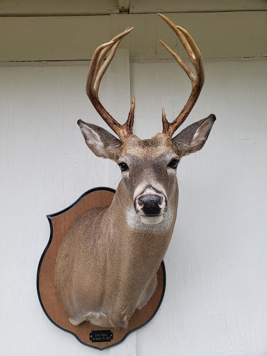 Owens Deer Processing - Thumbnail