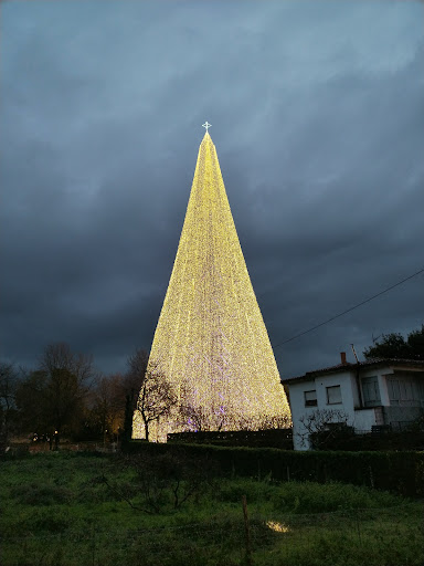 Árbol de la Navidad