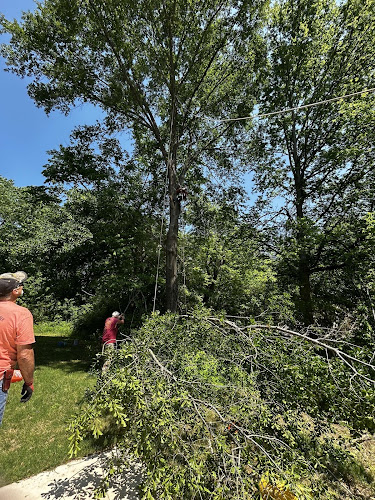 Kings Tree Service