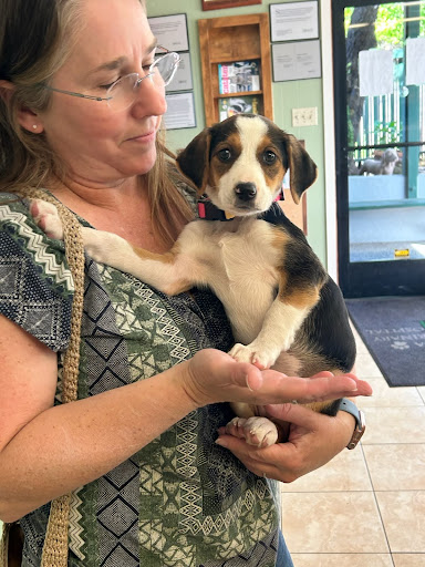 Petaluma Veterinary Hospital - Thumbnail