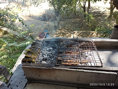 Adanır piknik canlı alabalık tesisleri