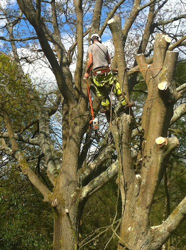 Atom Tree Surgery Ltd