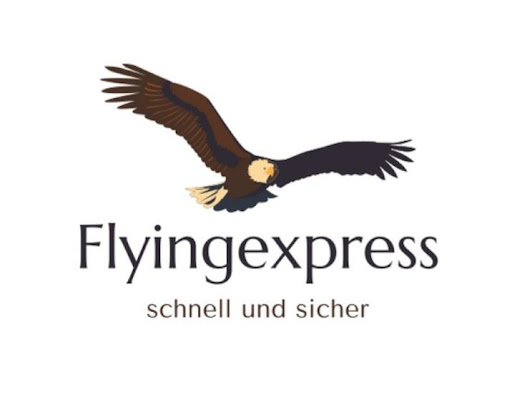 FLYİNG EXPRESSR - Visual