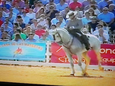 Photos of Lavamascotas Hidrocan&iacute;n 24h