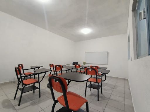 Brighton Intercultural School - Thumbnail