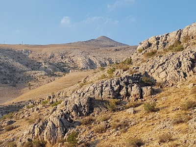 Nemrut Doğu Terası