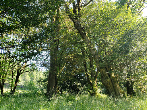 Bennett County Park - Visual
