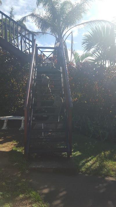 Photos of Shelly Beach Lodge