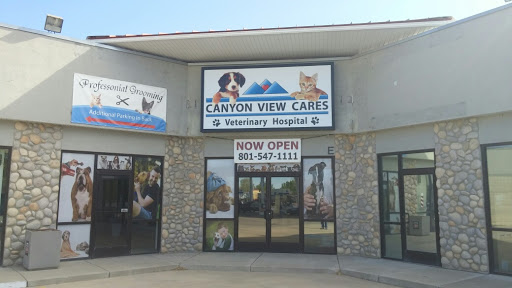 Canyon View Cares - Thumbnail