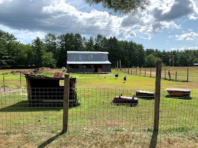 Tamworth Camping Area