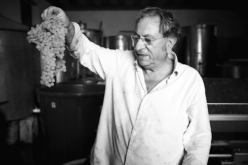 Vino bios - Thumbnail