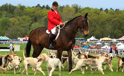 Photos of Atlanta Steeplechase