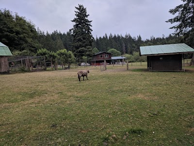 Someday Farm Vegan Bed and Breakfast