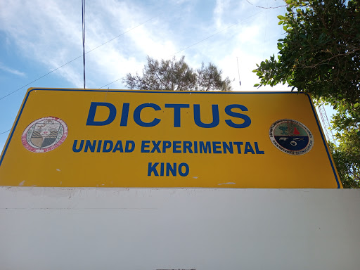 Dictus - Visual