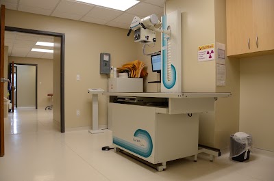 Photos of Whitney Veterinary Hospital