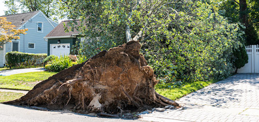 Clayton Fire and Water Restoration - Thumbnail