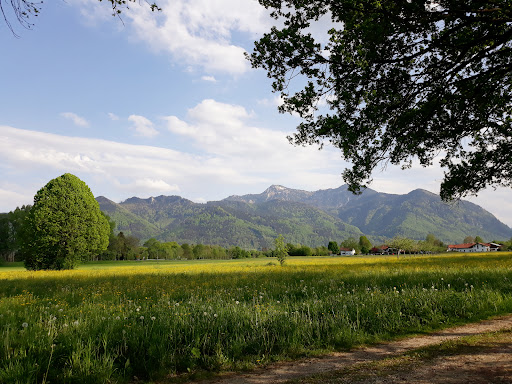 Stellplatz Bauernhof Steiner - Thumbnail