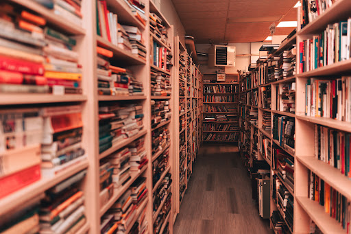 aMaizing BookBee - Visual