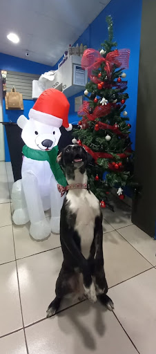 Pet Care & Control Services (PCCS)