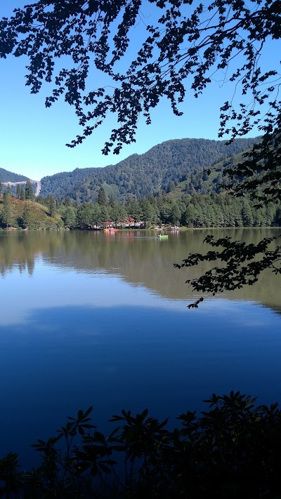 Photos of Lapera Pension