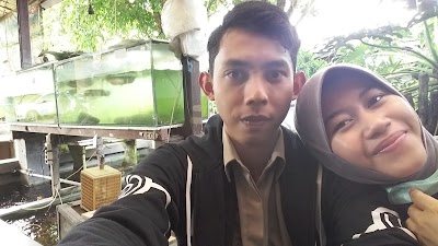 Photos of Branjangan Aquarium 87