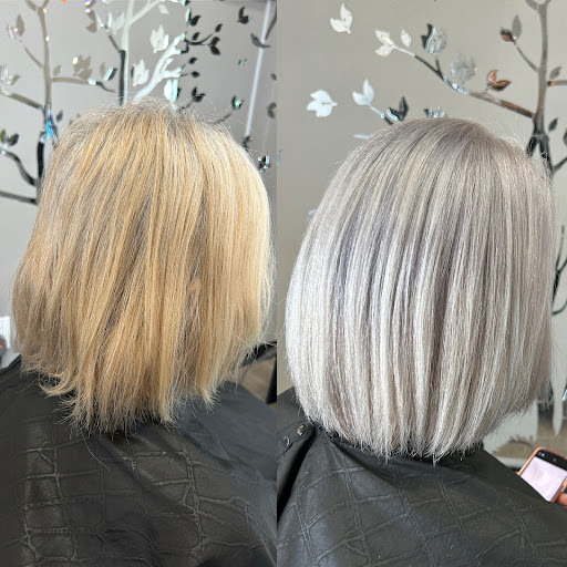 Vegas Hair Color Masters - Thumbnail