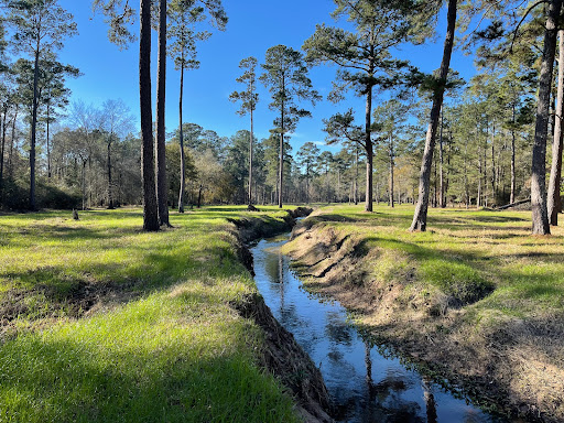 Shadow Point Park - Visual