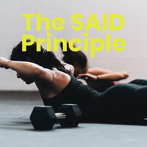 Nimbus Clinics - Chiropractic & Wellbeing - Thumbnail