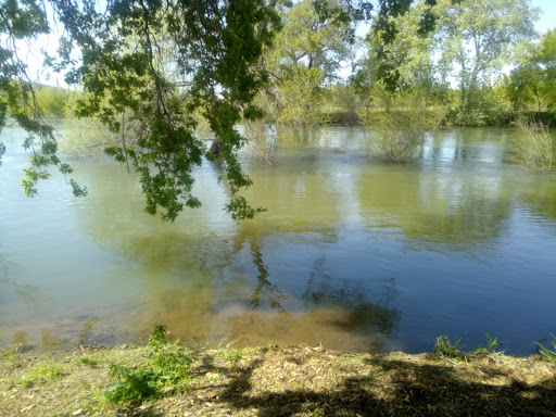 Mancini Park - Thumbnail