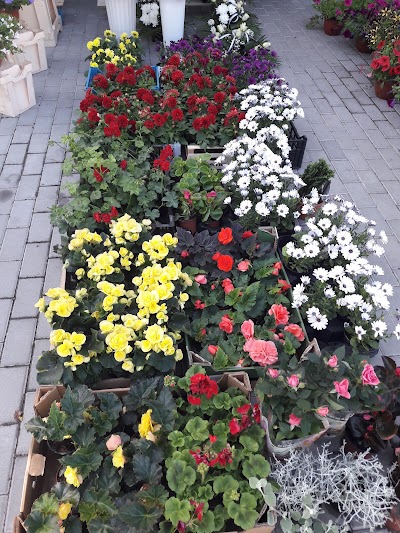 Photos of VILKAVISKIO MARKET V. Kavaliauskienės company