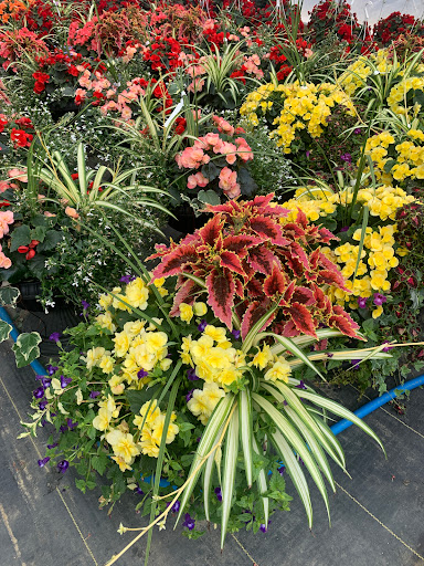 Ron's Gardens Farm Market Gallery - United States