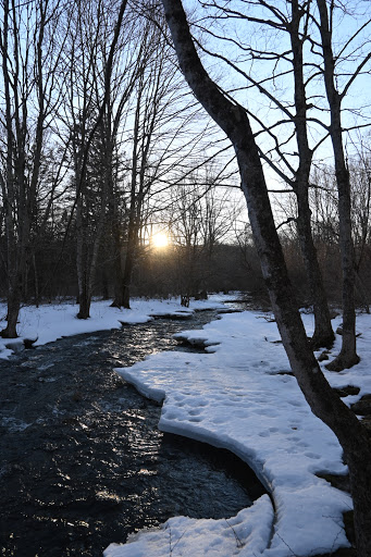 Grayville Falls Town Park - Thumbnail