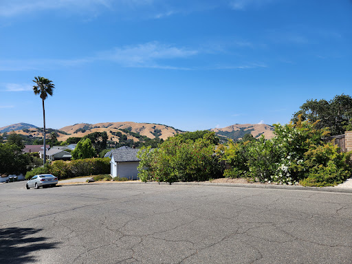Marin Highland Park Gallery - United States