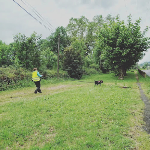 Cabot Caboche - éducation canine - Pau