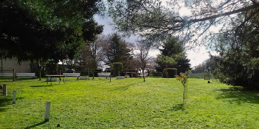 Photo de EHPAD Résidence Bellevue à Bussière-Poitevine (87320)