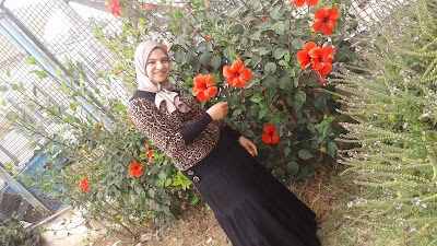 Photos of ستاد جامعة الاسكندرية