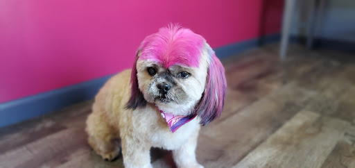 Collar N Comb Pet Parlor - Thumbnail