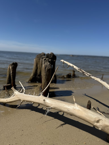Etheridge Point - Thumbnail