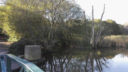 Alver Valley East Car Park - Thumbnail