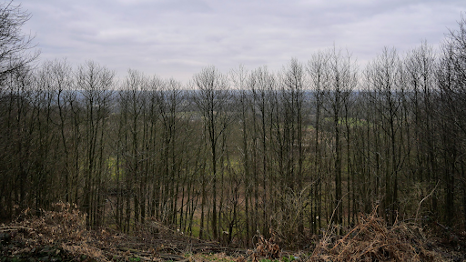Tilburstow Hill - Thumbnail