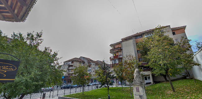Comentarii opinii despre Casa Memorială „Anton Pann”