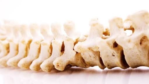 Active Spine Chiropractic & Physiotherapy Beecroft