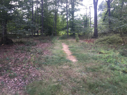 Cherrywood Bike Shortcut (From Bishop Walsh Rd)